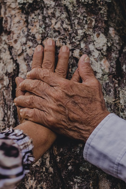 Weathered Hands Study
