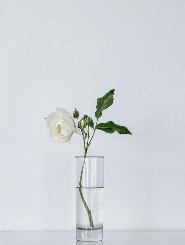 White Roses in Crystal Vase